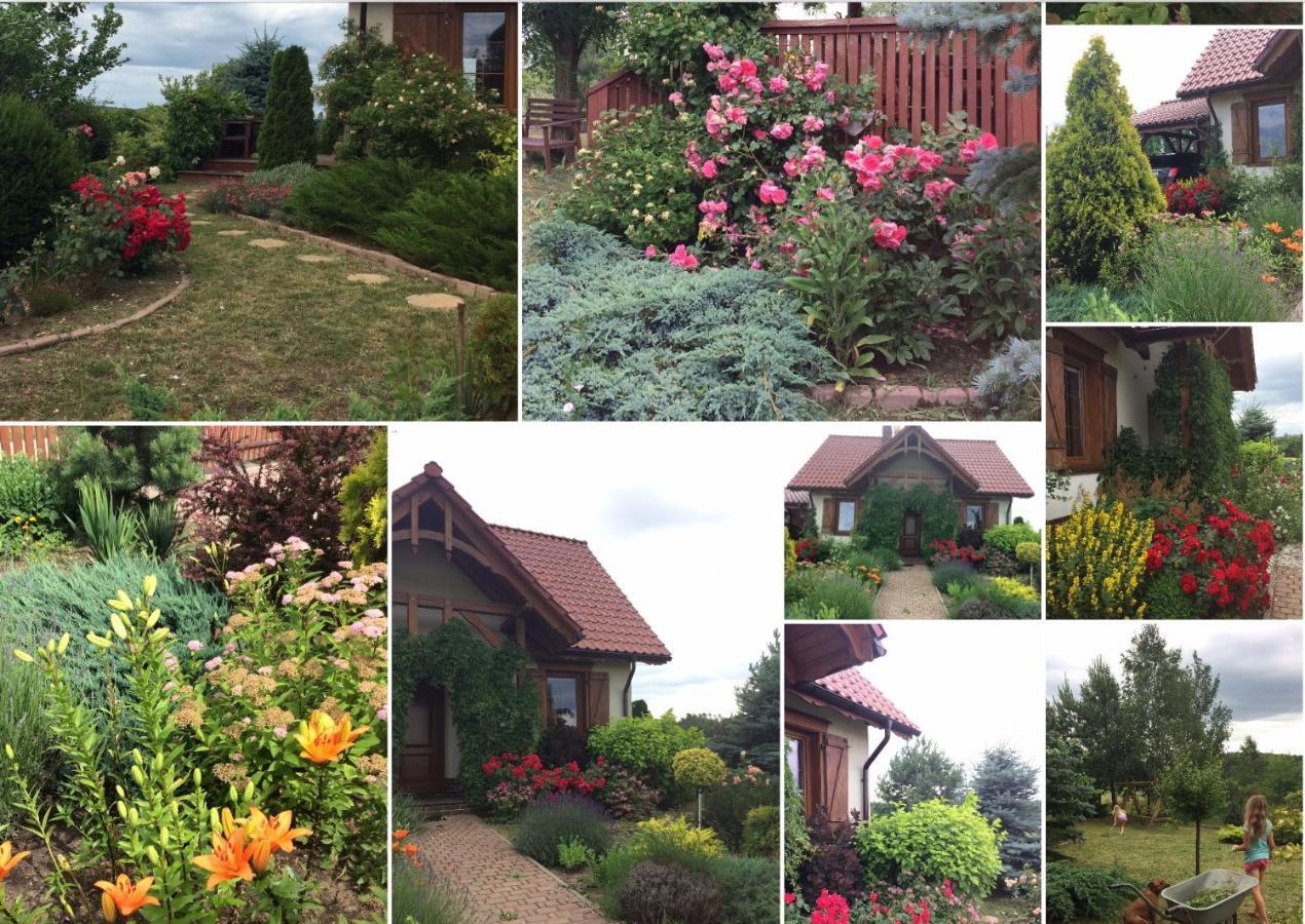 Ignacowka Guest House Kobyla Gora Exterior photo